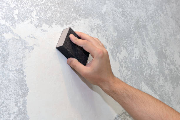 Biohazard Mold Removal in Mill City, OR