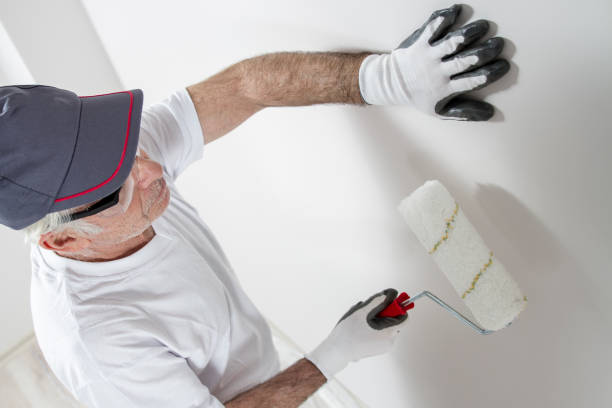 Best Environmental Consulting for Mold Prevention  in Mill City, OR