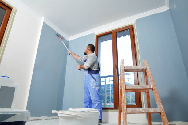 Best Mold Removal for HVAC Installations  in Mill City, OR