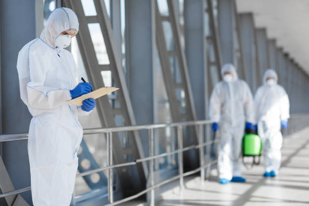 Best Commercial Mold Inspection  in Mill City, OR