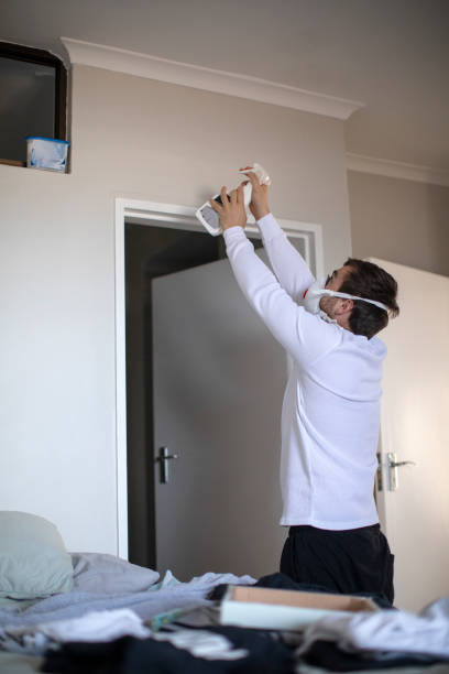 Best Mold Remediation for Healthcare Facilities  in Mill City, OR