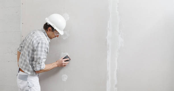 Best Real Estate Mold Inspection  in Mill City, OR