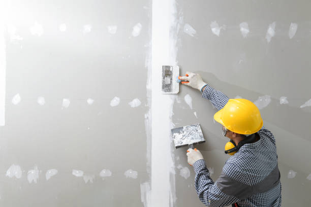 Best Water Damage & Mold Remediation  in Mill City, OR