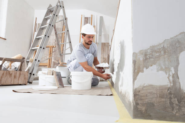 Best Mold Prevention Services  in Mill City, OR