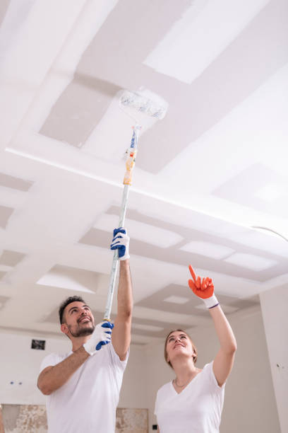 Best Mold Odor Removal Services  in Mill City, OR