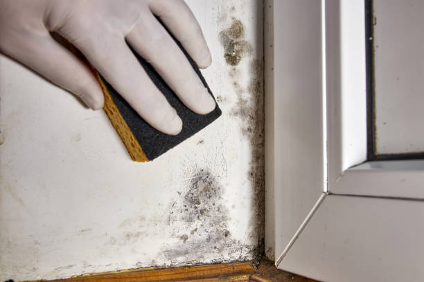 Best Indoor Air Quality Assessment  in Mill City, OR