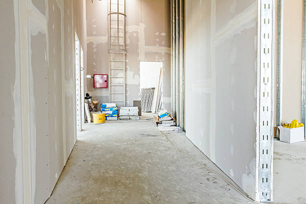 Best Comprehensive Air Testing for Mold Contaminants  in Mill City, OR