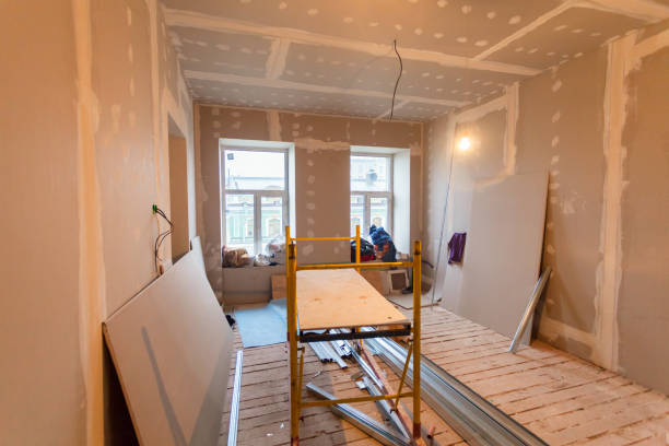 Best Attic Mold Removal  in Mill City, OR